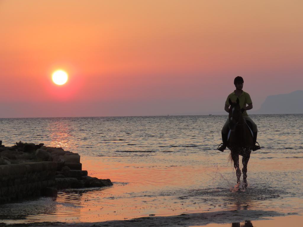 Sunrise Stagnone - Kitesurf Spot Bed and Breakfast Marsala Eksteriør billede